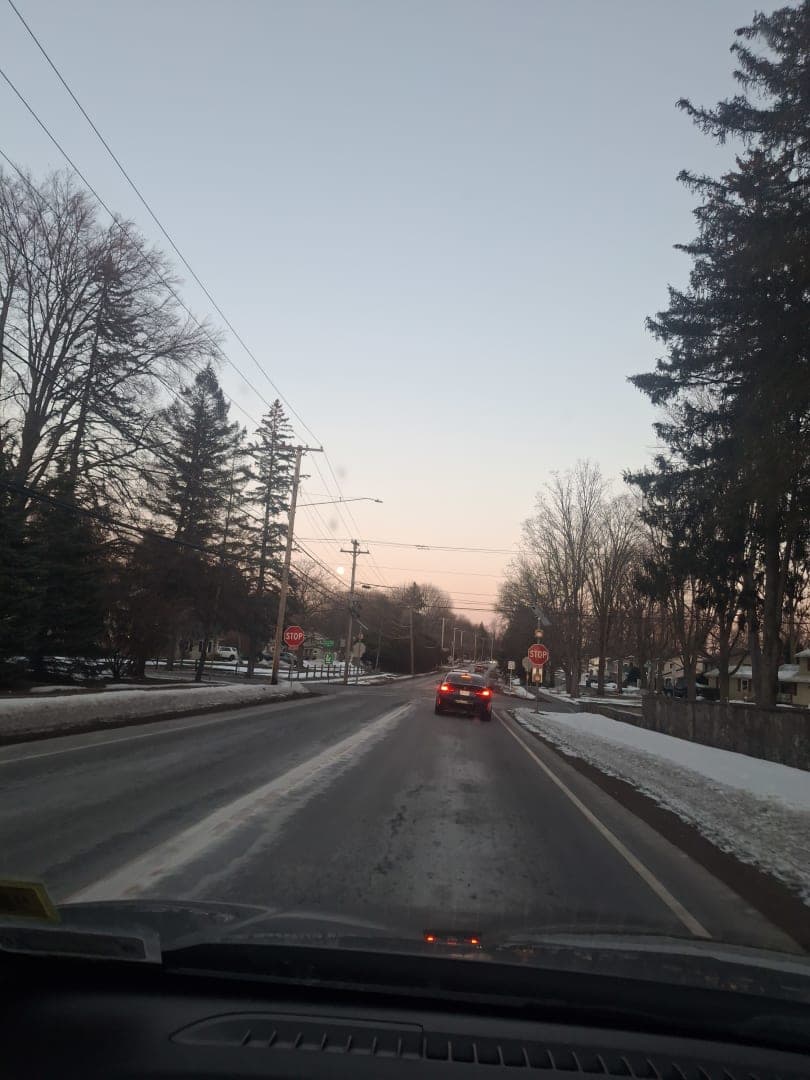 Portrait of the artist