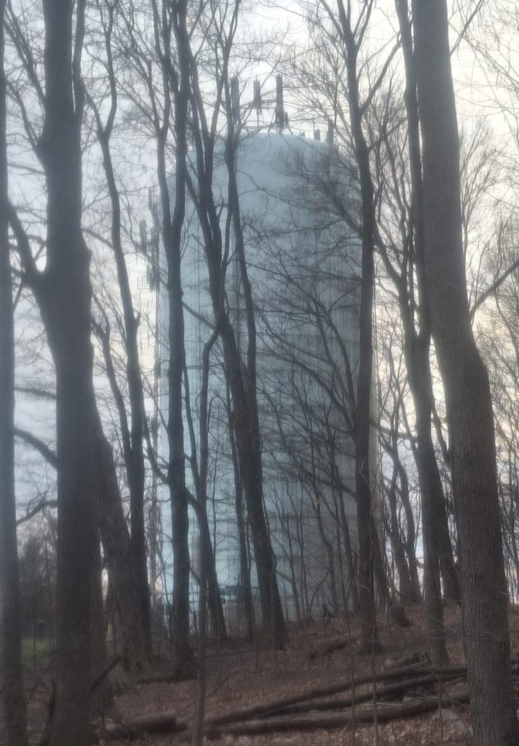 Portrait of the artist